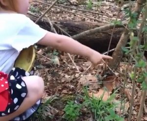 This is why you teach your kids to hunt...