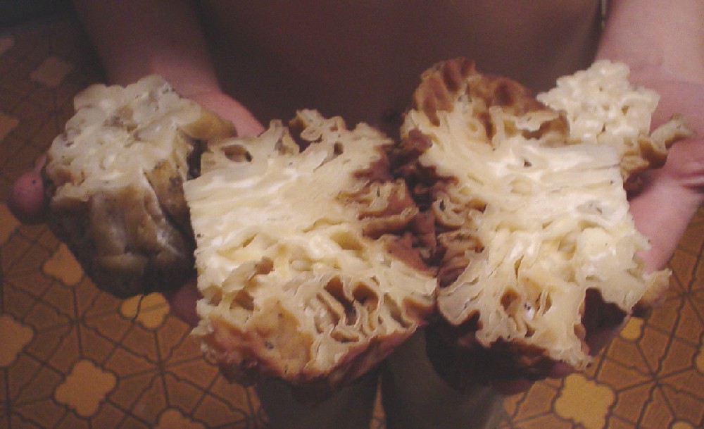 falsemorel_sliced