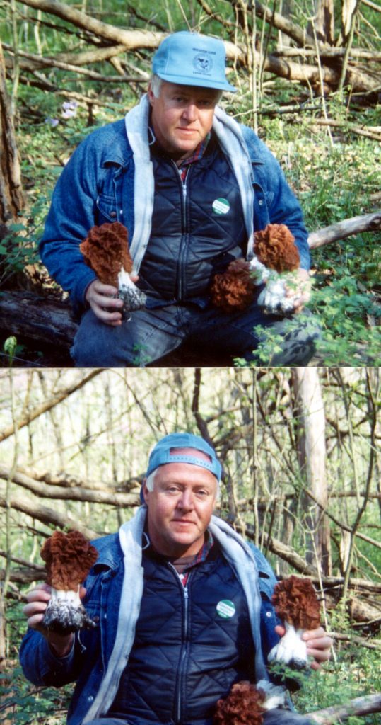 False Morels