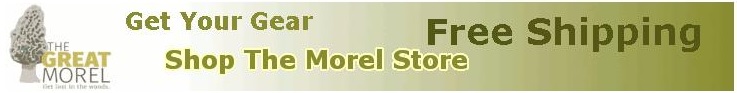 Shop The Morel Store