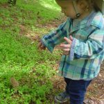 Morel Hunting in Tennessee
