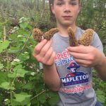 2017 Morels
