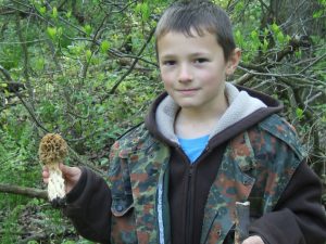 share your morel knowledge with others
