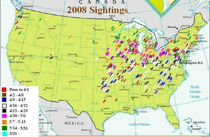 Historic Morel Sighting Map
