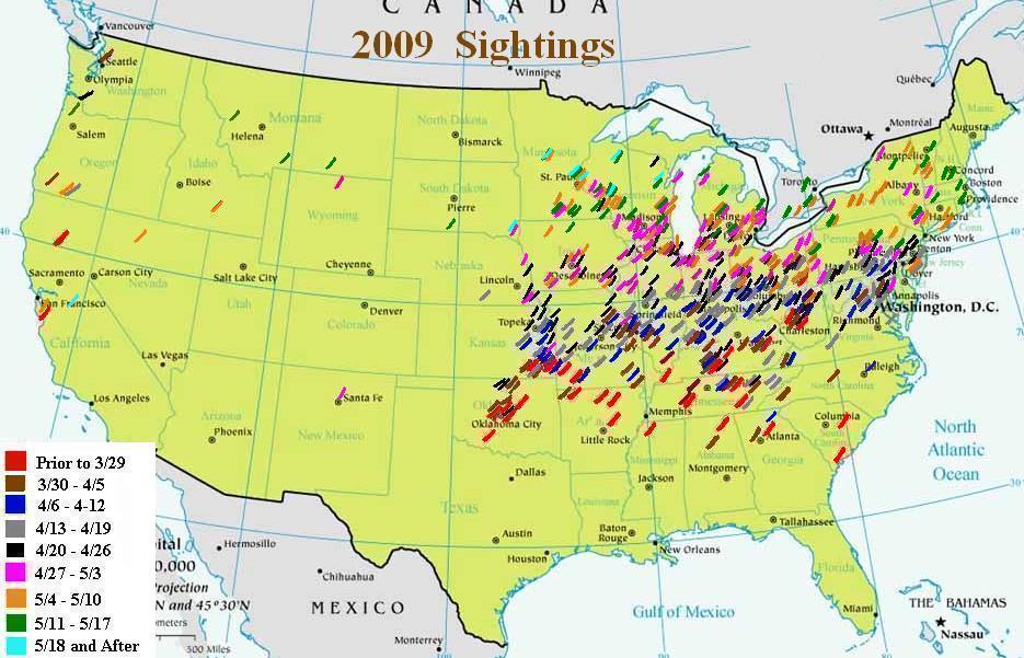 Historic Morel Sighting Map
