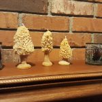 Morel Candle Set
