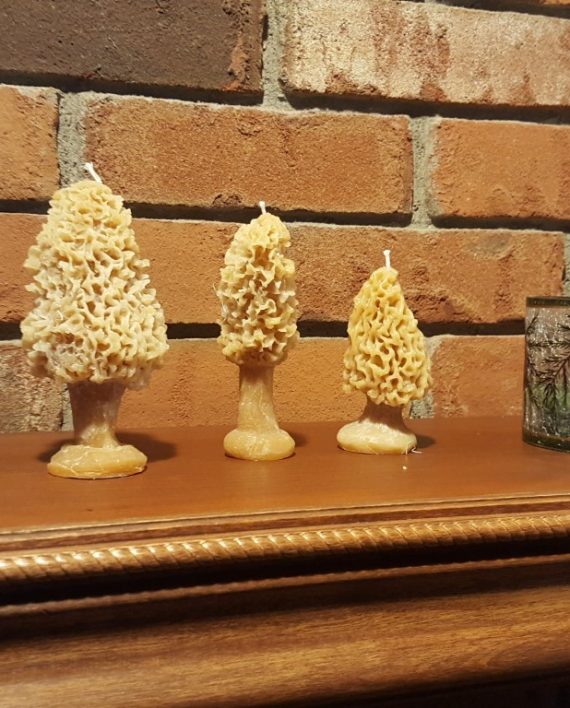 Morel Candle Set