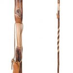 Hiking Stick