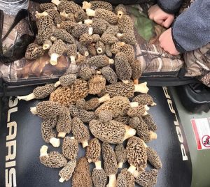 Barry County MO 