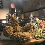 morels in the kitchen