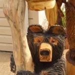 Bear Climbing