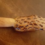Cherry Hand carved morel