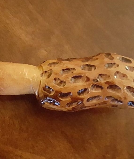 Cherry Hand carved morel