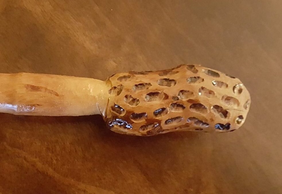 Cherry Hand carved morel