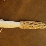 Dogwood Hand Carved Morel Hiking Stick