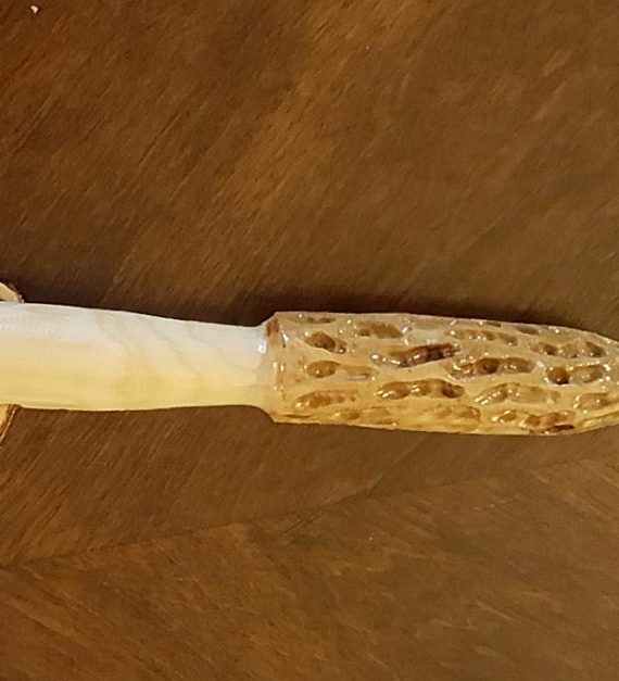 Dogwood Hand Carved Morel Hiking Stick