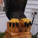 Perched Eagle