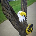 Flying Eagle