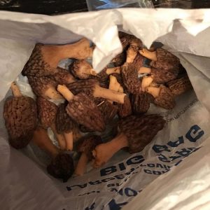 ohio_perry_cty_406