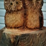 Pair of Owls