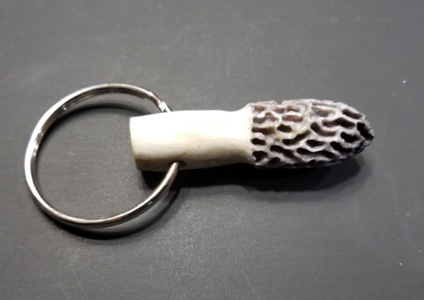 Morel Key Chain - Grey No Tip