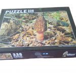 Morel Puzzle