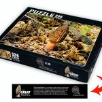 Morel Puzzle