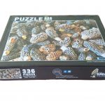 Morel Puzzle
