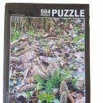 Morel Puzzle
