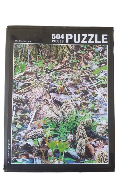 Morel Puzzle