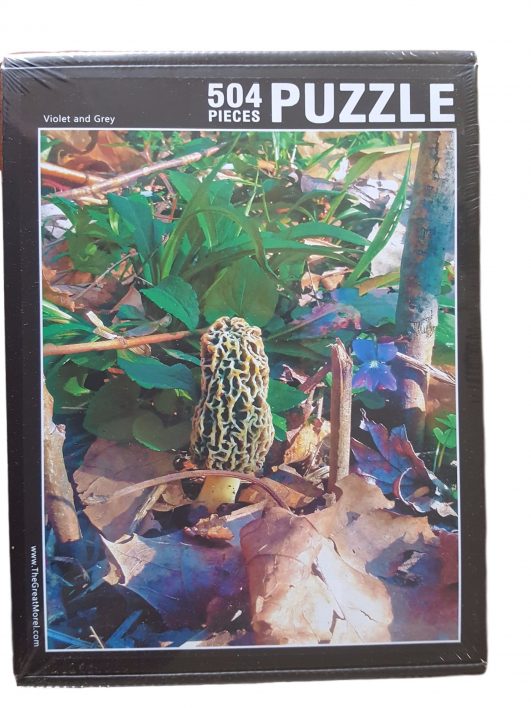 Morel Puzzle