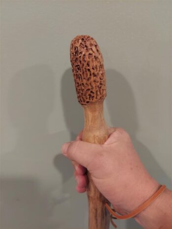 hickory hiking stick