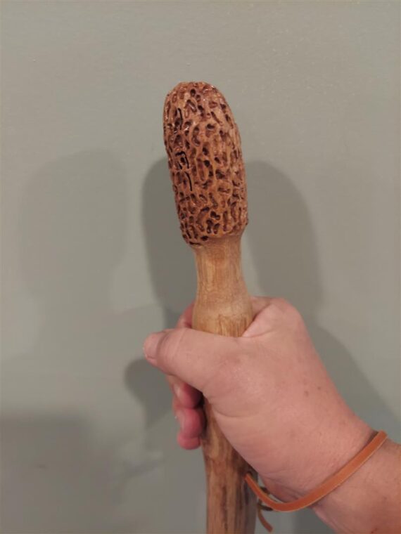 hickory hiking stick