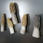 Morel Magnet