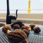 Morels in the Kitchen