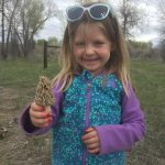 Bozeman Montana morel