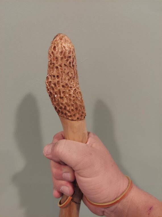 morel hiking stick