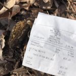 Missouri Morels