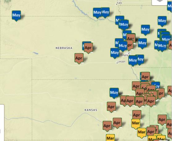 The Central Plains Morel Sightings 