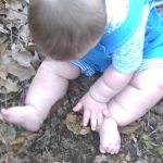 Tennessee morels