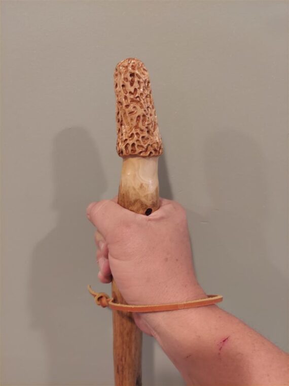 hickory hiking stick