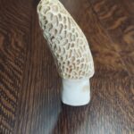 Hand Carved Deer Antler