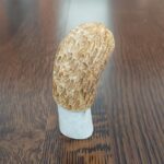 Hand Carved Morels