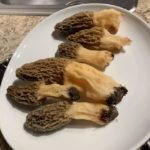 Georgia morels