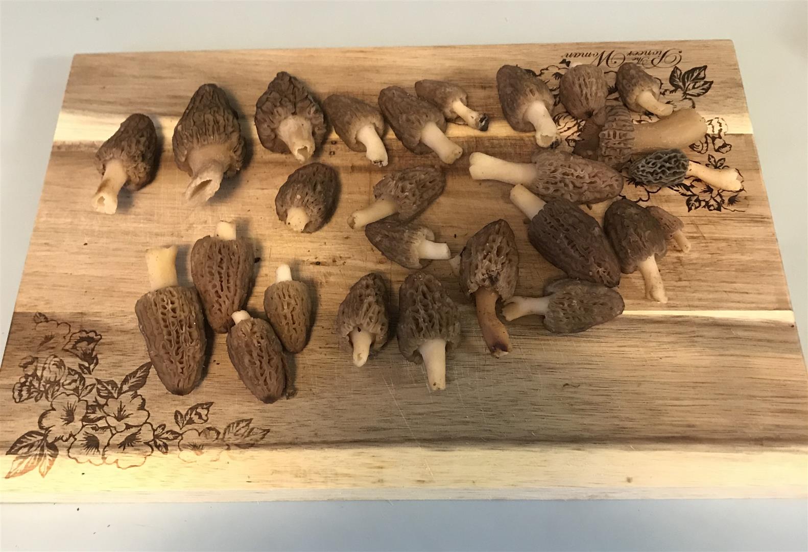 https://www.thegreatmorel.com 39.391400 -87.693600 https://www