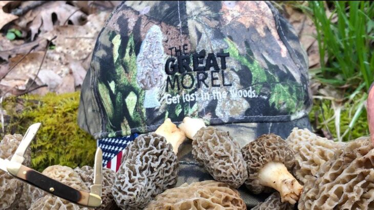 Morel Gear