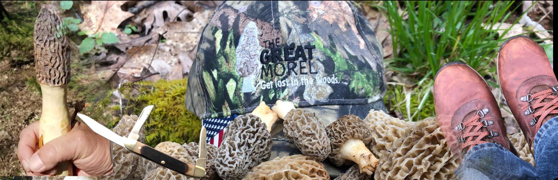 Morel Gear