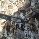 optimum ground temperature for morels
