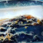 petri dish of morels