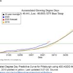 morel ground temperature